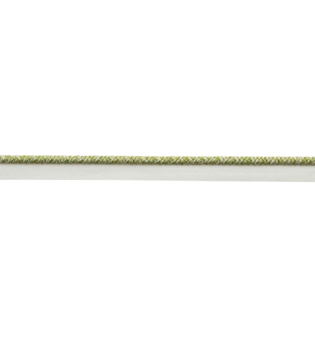 Westport Braided Cord with Tape Trimming by Samuel & Sons Spring Green