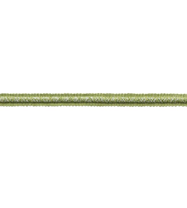 Westport Gimp Trimming by Samuel & Sons Spring Green