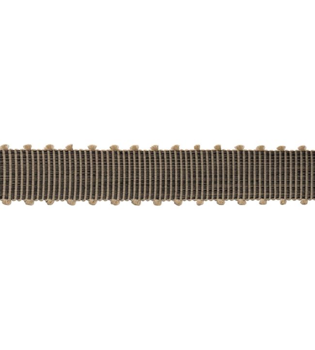 Westport Picot Border Trimming by Samuel & Sons Flint