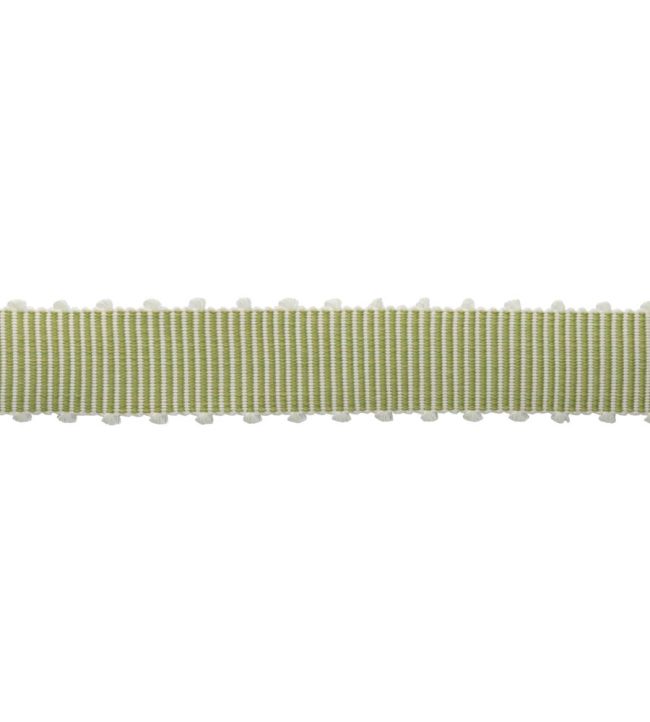 Westport Picot Border Trimming by Samuel & Sons Spring Green