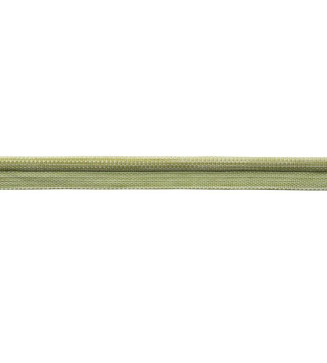 Westport Piping Trimming by Samuel & Sons Spring Green