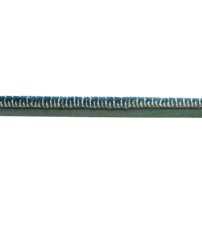 Westport Ruche Trimming by Samuel & Sons Wave