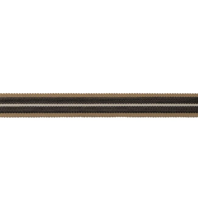 Westport Striped Border Trimming by Samuel & Sons Flint
