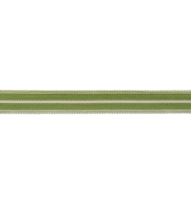 Westport Striped Border Trimming by Samuel & Sons Spring Green