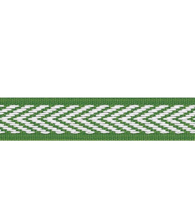 Westport Tape Trimming by Thibaut Kelly