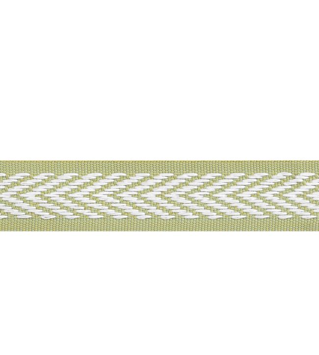 Westport Tape Trimming by Thibaut Spring Green
