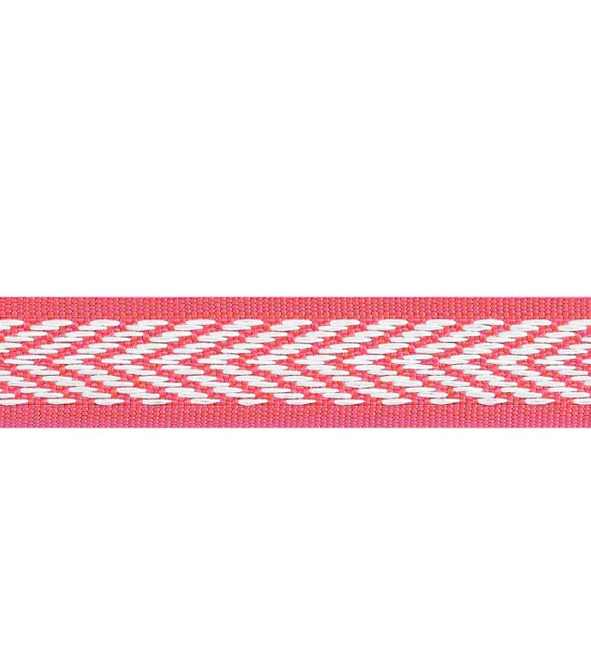 Westport Tape Trimming by Thibaut Watermelon