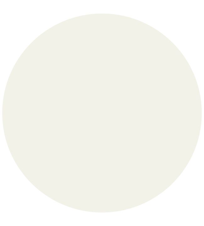 Whiting 1829 Chalky Emulsion Paint by Craig & Rose Whiting