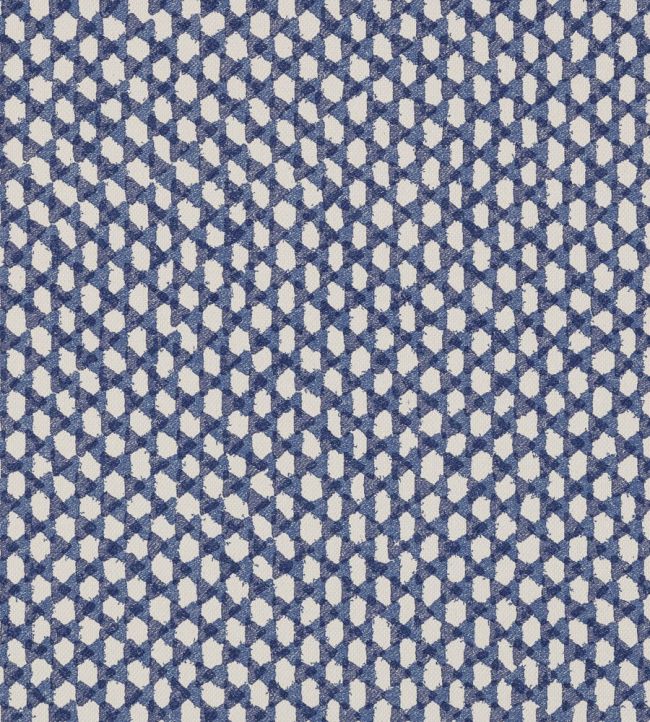 Wicker Outdoor Fabric by Fermoie Blue