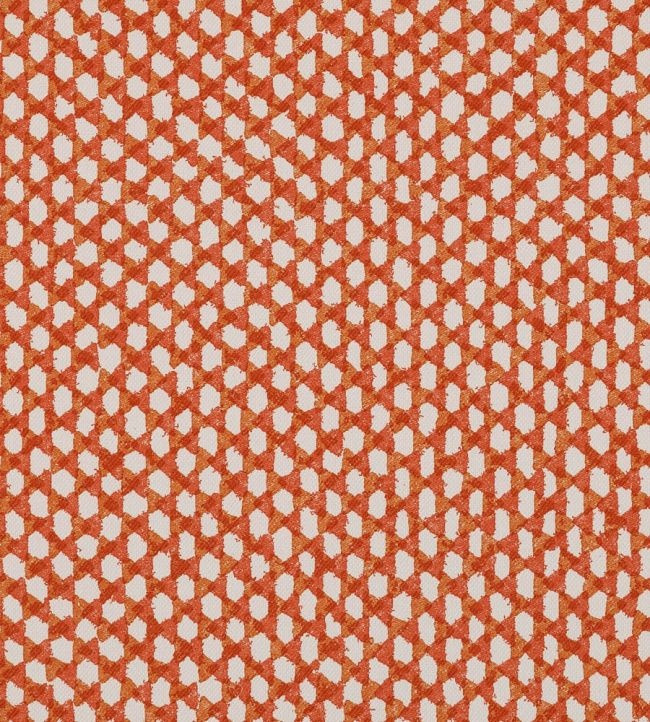 Wicker Outdoor Fabric by Fermoie Red