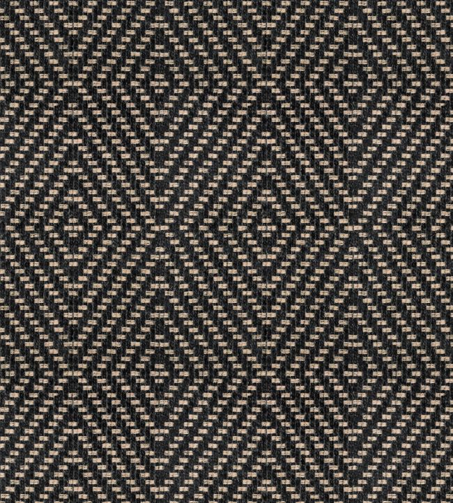 Wicker FR Fabric by Warwick Ebony