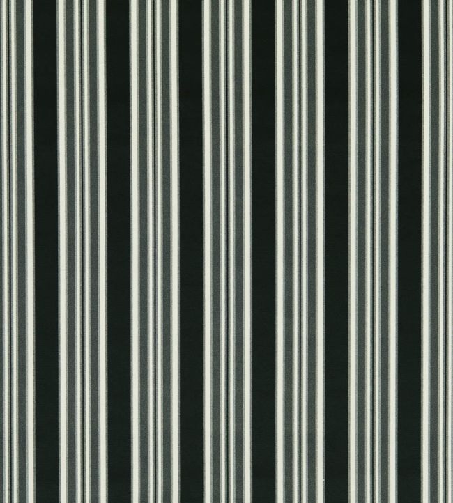 Wilmott Fabric by Clarke & Clarke Ebony