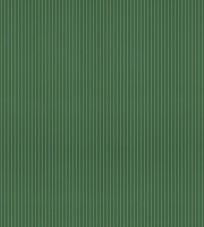 Wilson Stripe Wallpaper by Scalamandre Fern