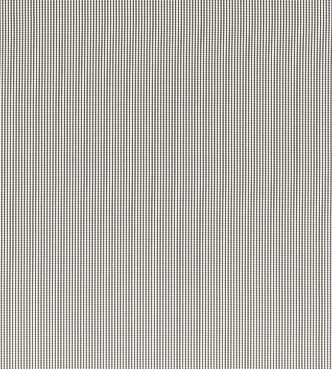 Windsor Fabric by Clarke & Clarke Charcoal