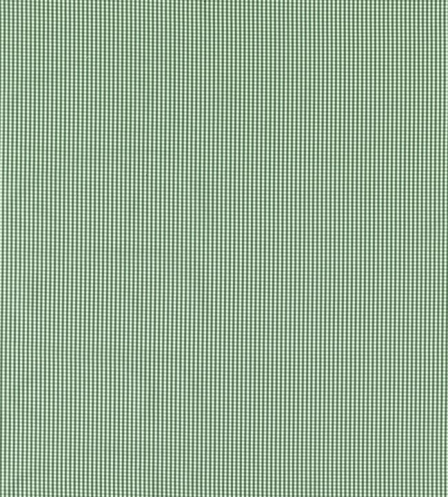 Windsor Fabric by Clarke & Clarke Racing Green