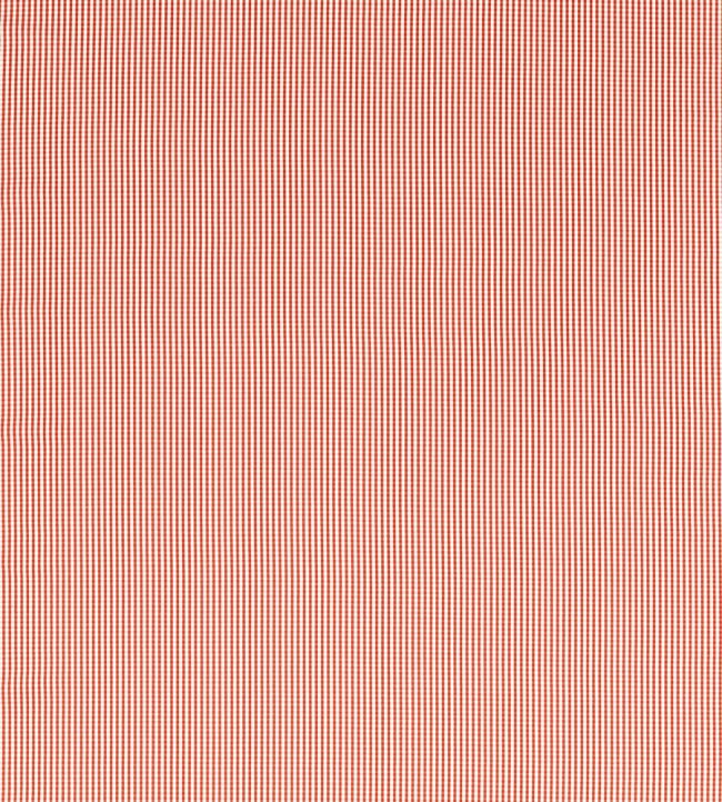 Windsor Fabric by Clarke & Clarke Rouge