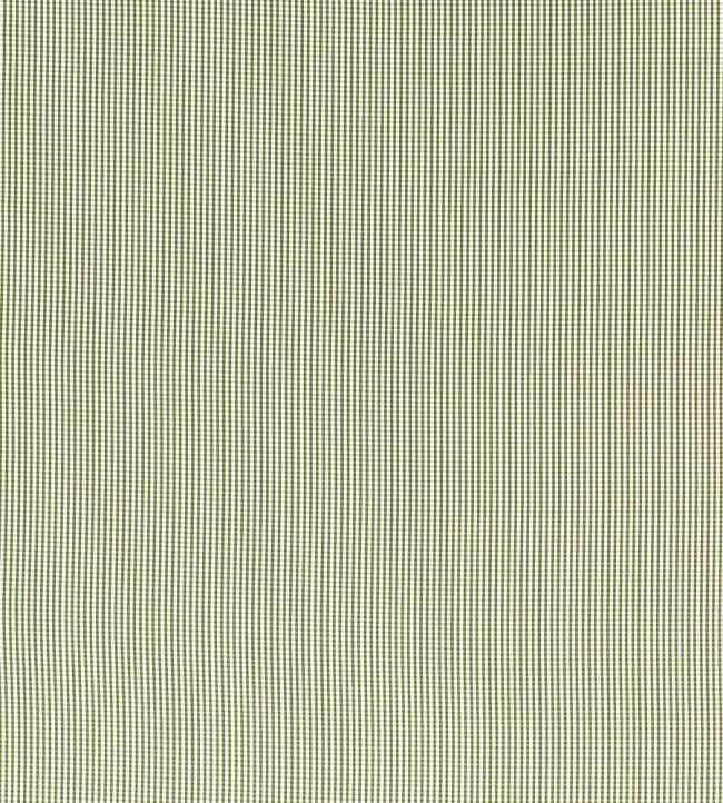 Windsor Fabric by Clarke & Clarke Sage