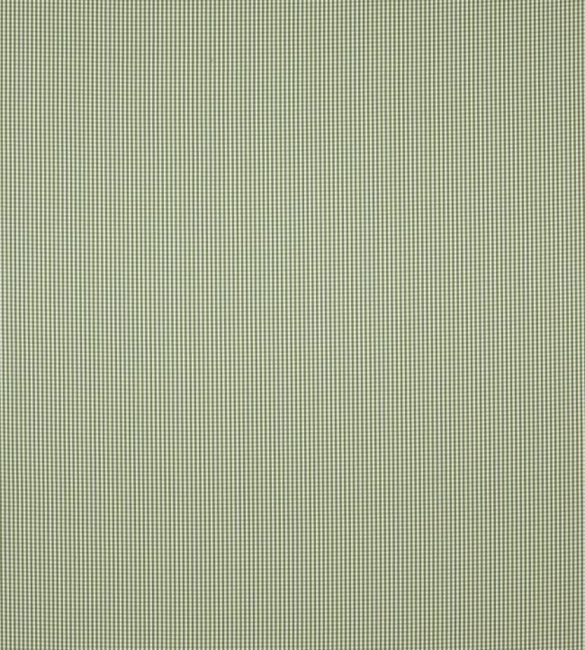 Windsor Fabric by Clarke & Clarke Herb
