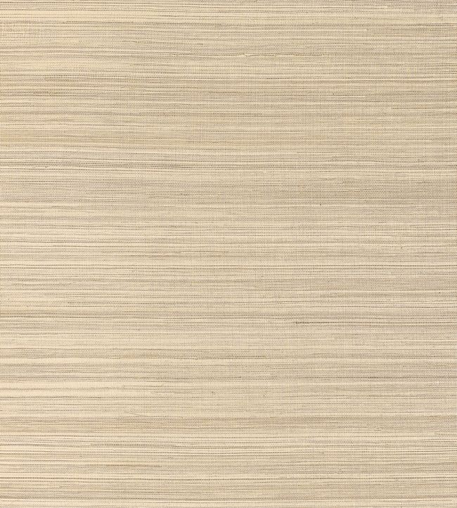 Windward Sisal Wallpaper by Thibaut Taupe