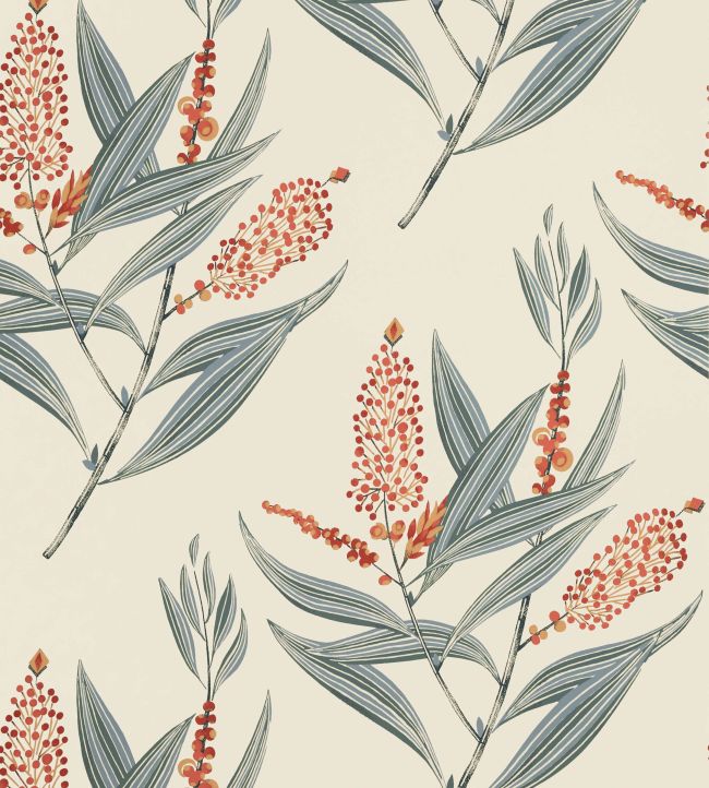 Winter Bud Wallpaper by Anna French Coral