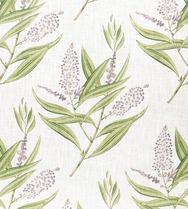 Winter Bud Fabric by Anna French Lavender