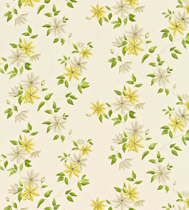 Wisley Fabric by Sanderson Primrose/Cream