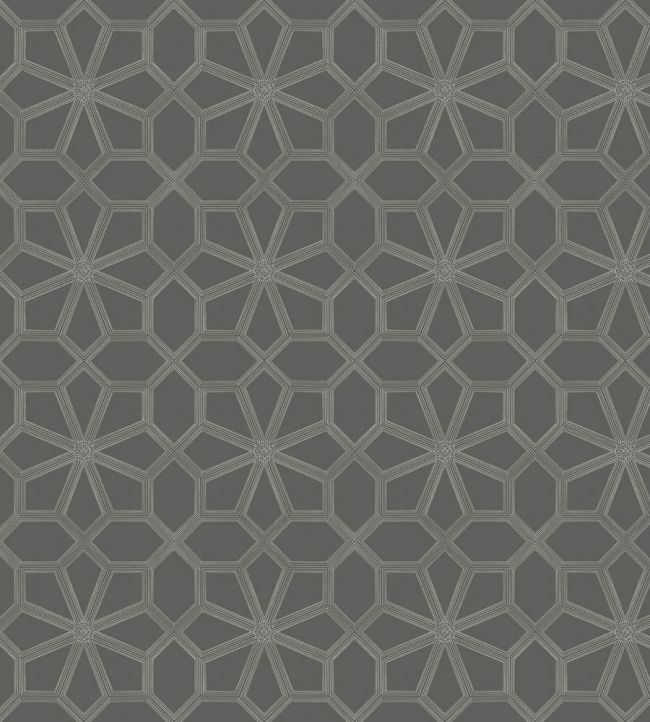 Wolsey Stars Wallpaper by Cole & Son Chalk