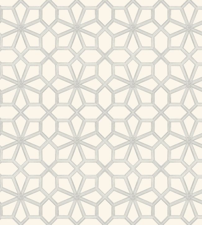 Wolsey Stars Wallpaper by Cole & Son Soot