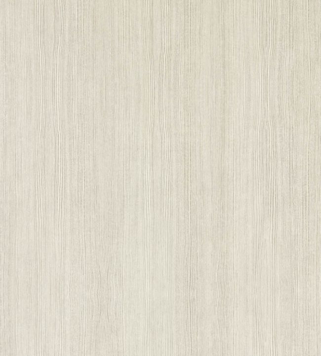 Wood Veneer Wallpaper by Harlequin Silver Birch