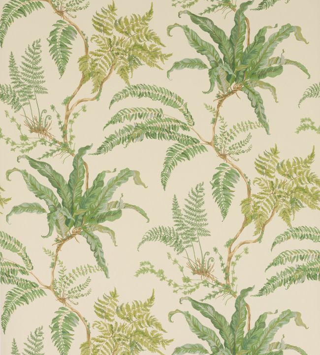 Woodfern Wallpaper by Colefax and Fowler Green