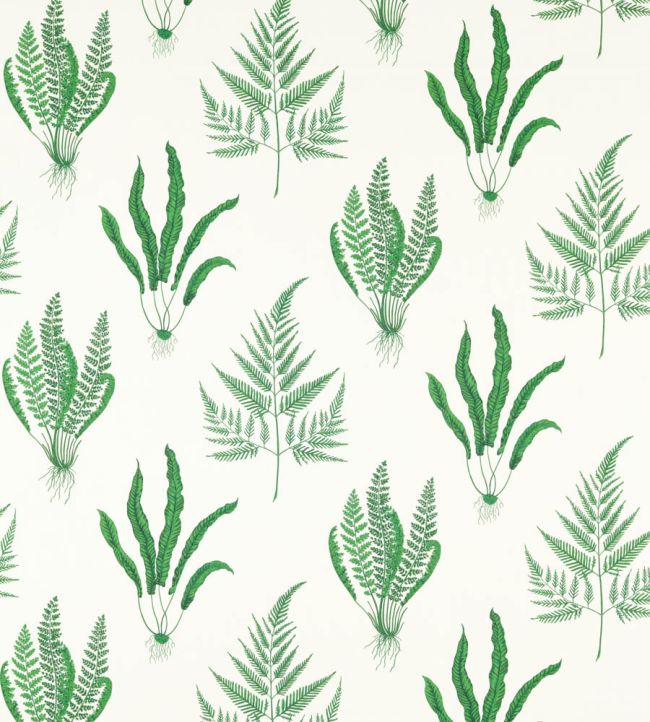 Woodland Ferns Fabric by Sanderson Botanical Green