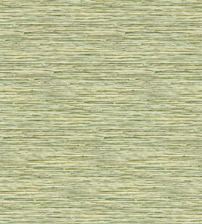 Xan Wallpaper by Clarke & Clarke Palm
