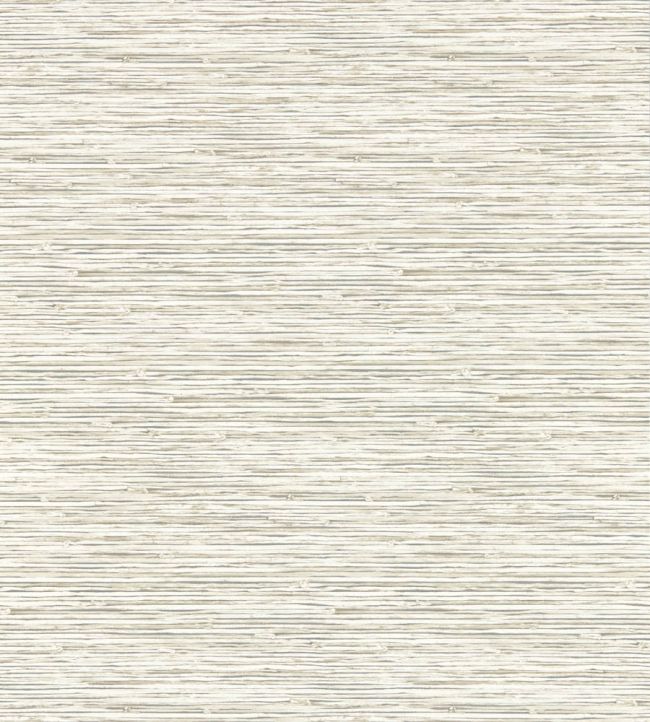 Xan Wallpaper by Clarke & Clarke Parchment
