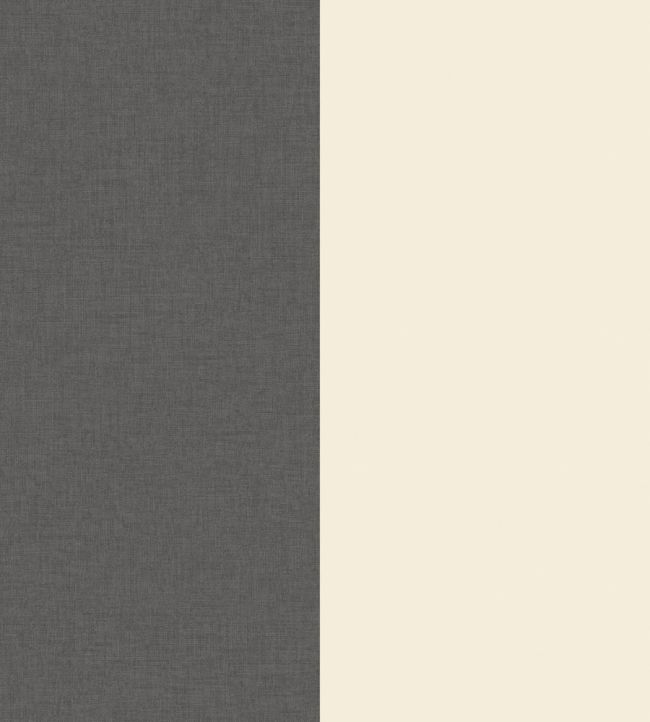 XXL Lines Wallpaper by Caselio Noir