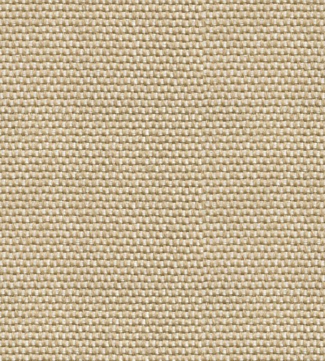 Yuca Wallpaper by Coordonne Arena