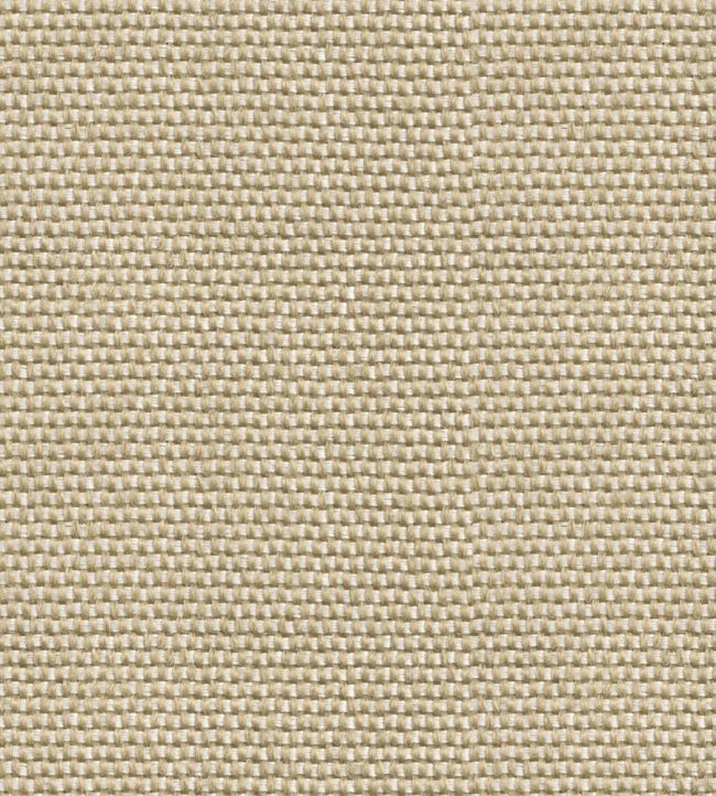 Yuca Wallpaper by Coordonne Beige