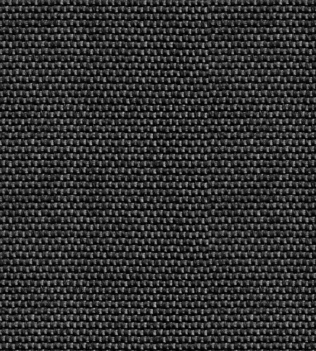 Yuca Wallpaper by Coordonne Black