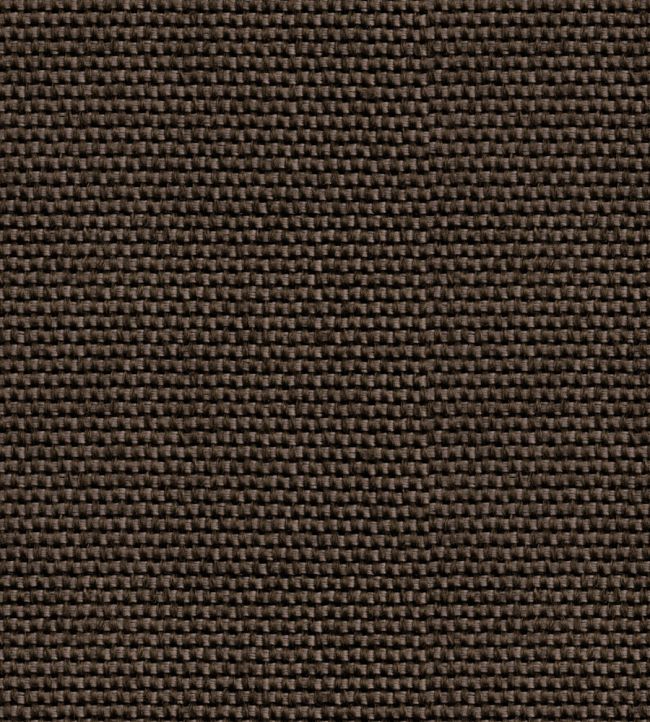 Yuca Wallpaper by Coordonne Brown
