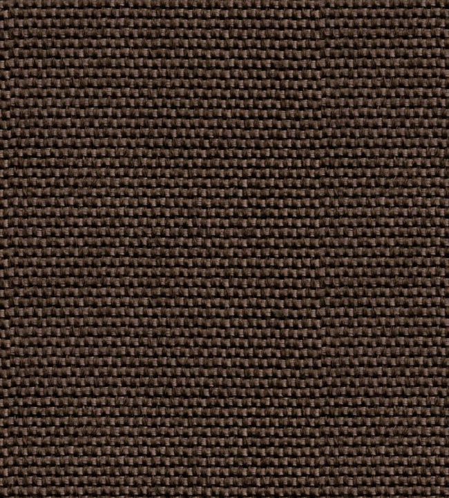 Yuca Wallpaper by Coordonne Carbon