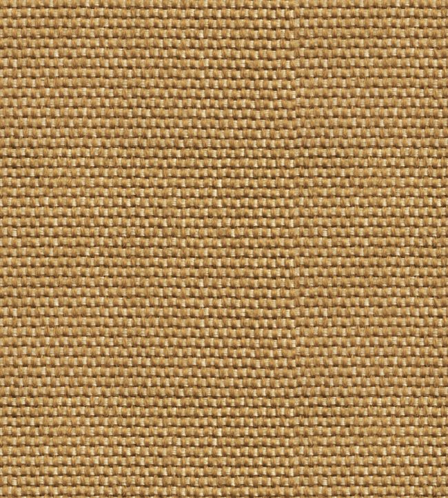 Yuca Wallpaper by Coordonne Gold