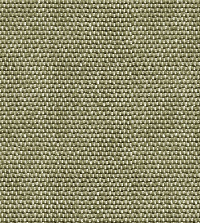 Yuca Wallpaper by Coordonne Green