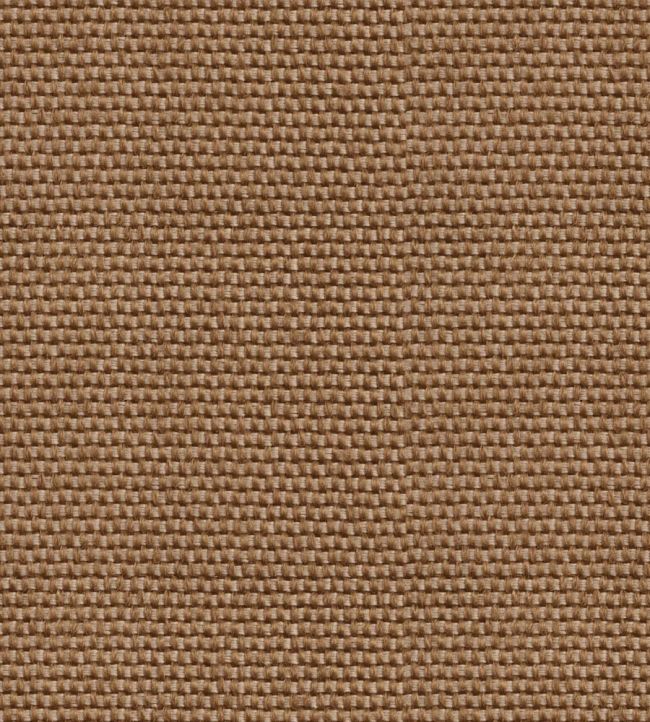 Yuca Wallpaper by Coordonne Sombra