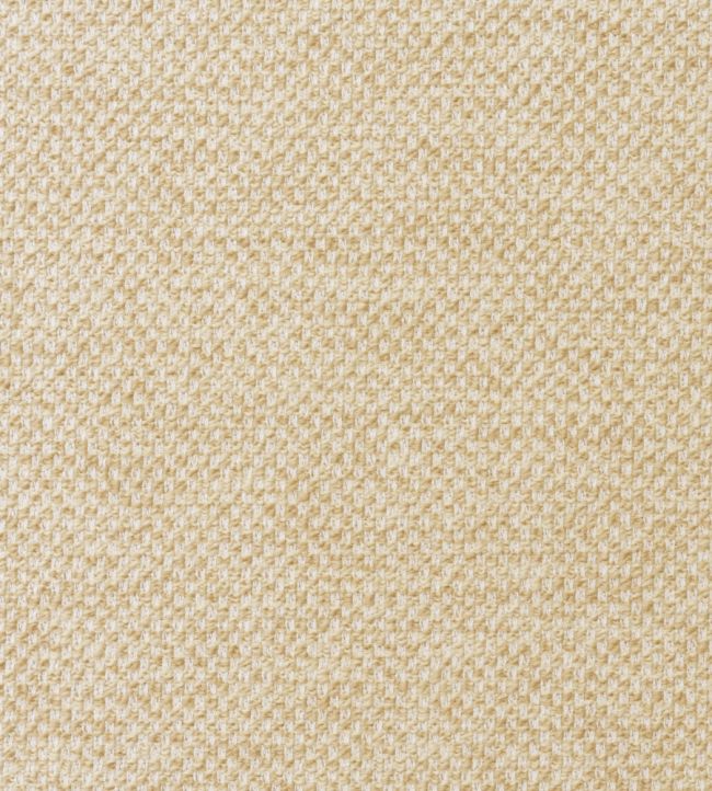 Yucca Fabric by Andrew Martin Sand