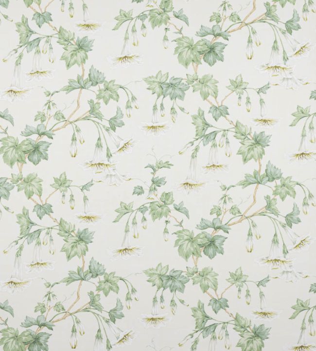 Yvette Fabric by Colefax and Fowler Cream/Leaf