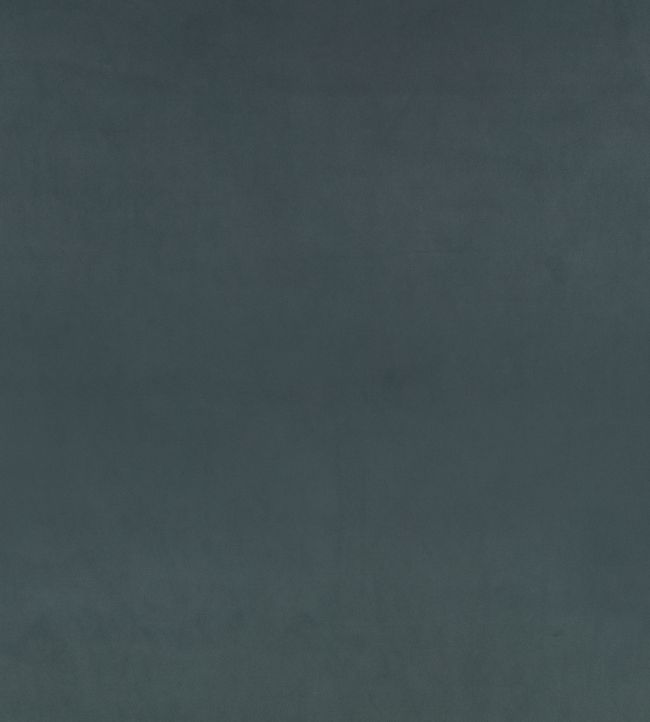 Z Suede Fabric by Zinc Aviator