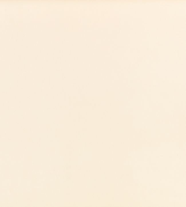 Z Suede Fabric by Zinc Bone
