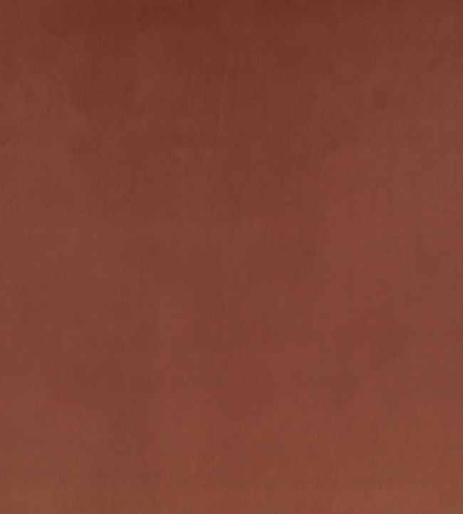 Z Suede Fabric by Zinc Brunello