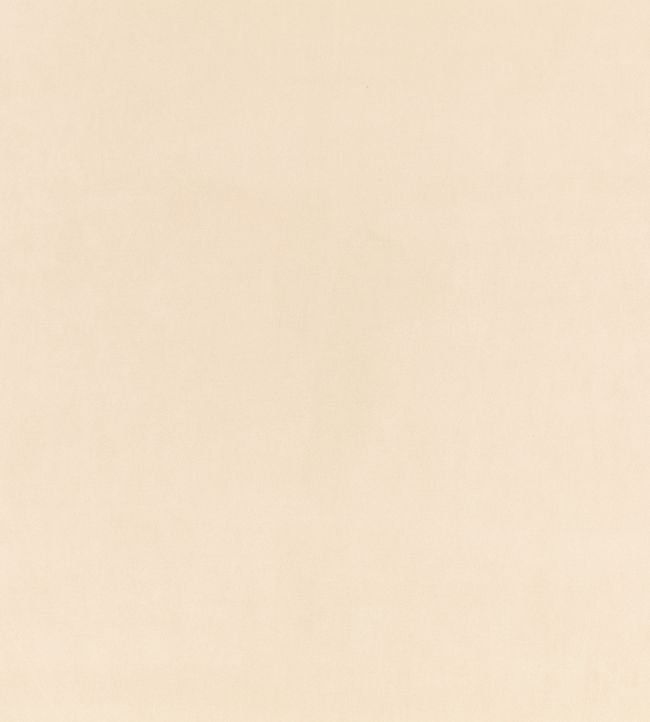 Z Suede Fabric by Zinc Cement