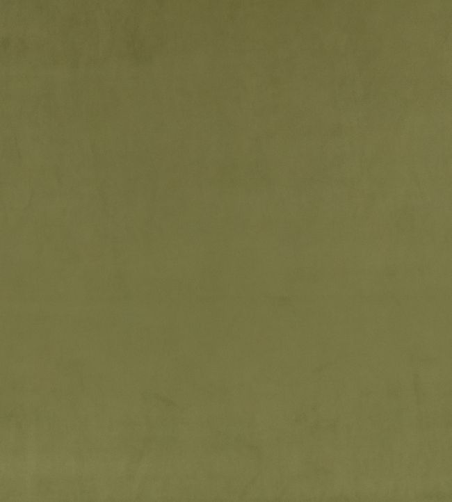 Z Suede Fabric by Zinc Cypress