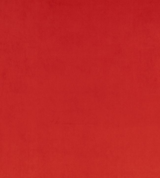 Z Suede Fabric by Zinc Dragon